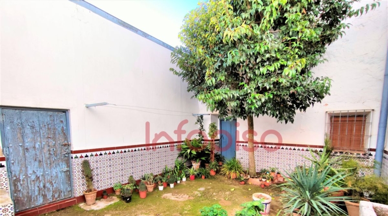 Ciudad Real - Valdepeñas - 276m2