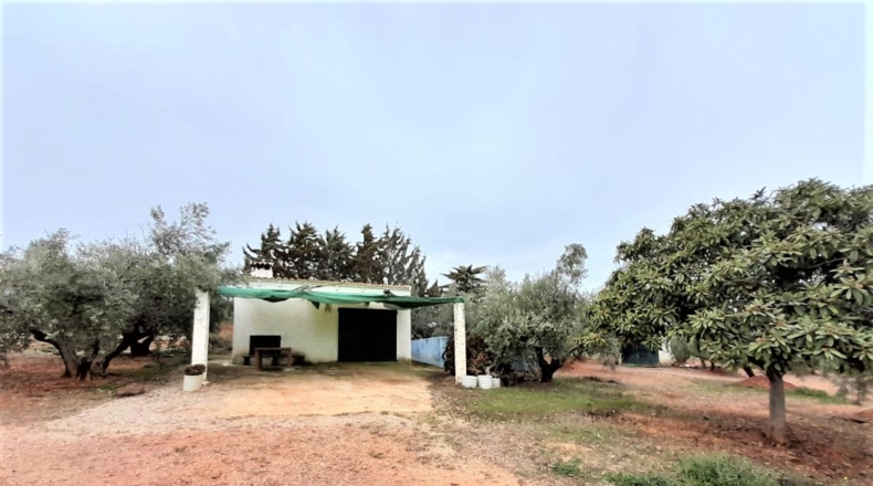 Ciudad Real - Valdepeñas - 43745m2