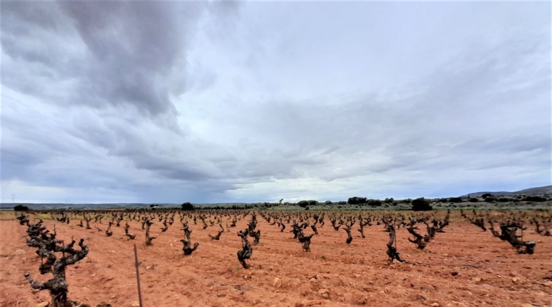 Ciudad Real - Valdepeñas - 100320m2