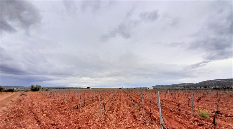 Ciudad Real - Valdepeñas - 100320m2