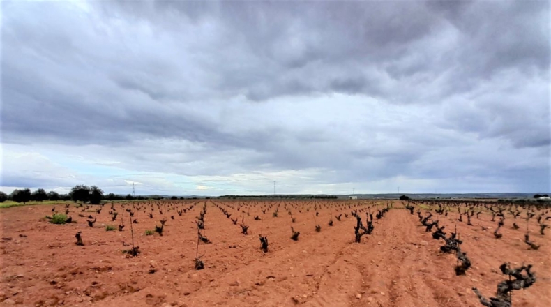 Ciudad Real - Valdepeñas - 100320m2