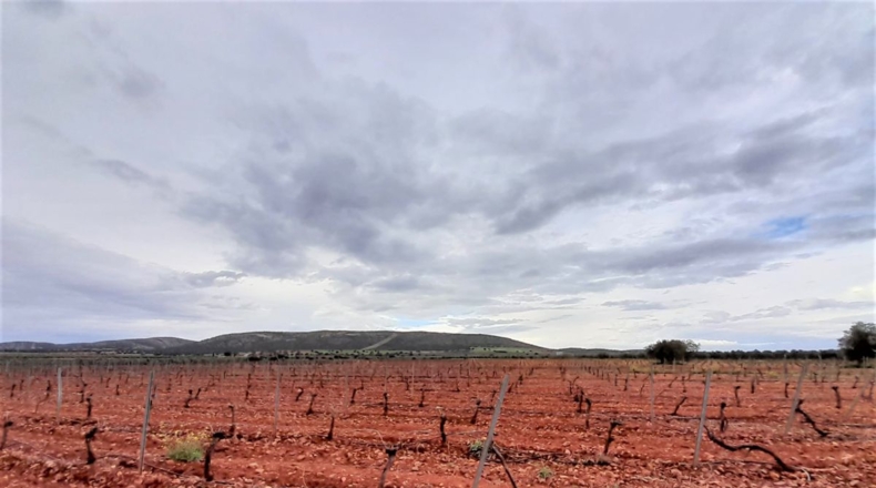 Ciudad Real - Valdepeñas - 100320m2