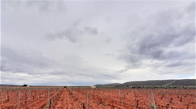 Ciudad Real - Valdepeñas - 100320m2