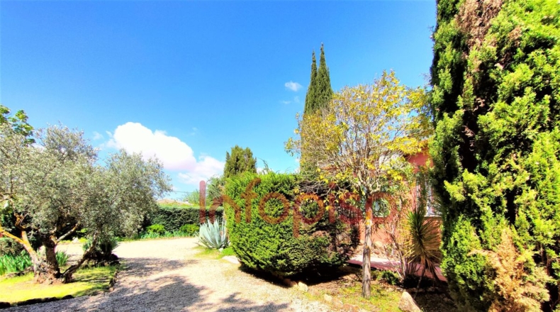 Ciudad Real - Valdepeñas - 1215m2