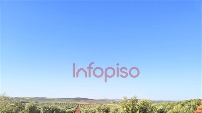 Ciudad Real - Valdepeñas - 260000m2