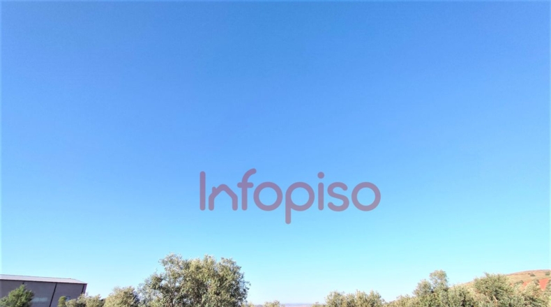 Ciudad Real - Valdepeñas - 260000m2