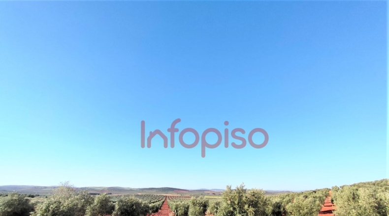 Ciudad Real - Valdepeñas - 260000m2