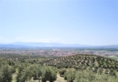 Finca rústica en venta en Atarfe ref: TR50445 foto