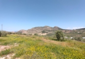 Finca rústica en venta en Atarfe ref: TR50445 foto