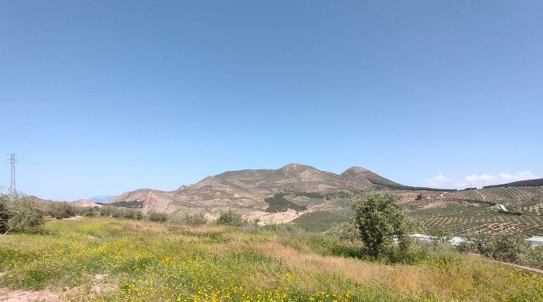 Granada - Atarfe - 150000m2