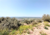Finca rústica en venta en Atarfe ref: TR50445 foto