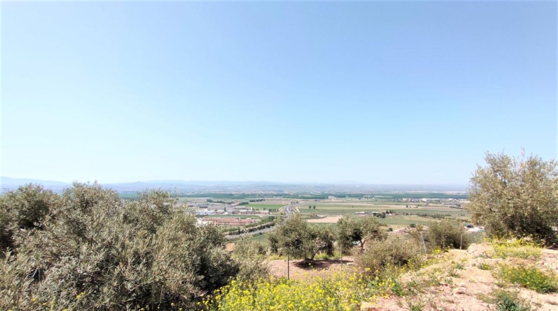 Granada - Atarfe - 150000m2
