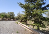 Finca rústica en venta en Atarfe ref: TR50445 foto