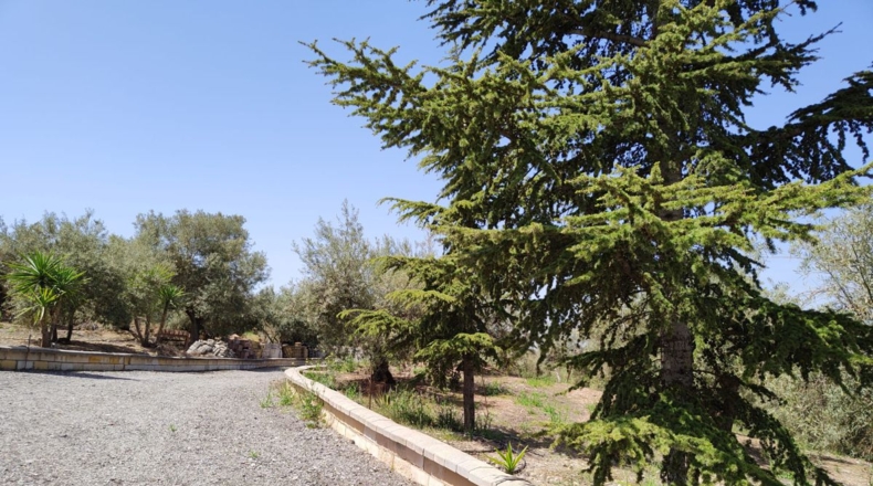 Granada - Atarfe - 150000m2