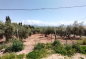Finca rústica en venta en Atarfe ref: TR50445 foto