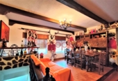 Country house with land for sale in Valdepeñas ref: TR65688 photo