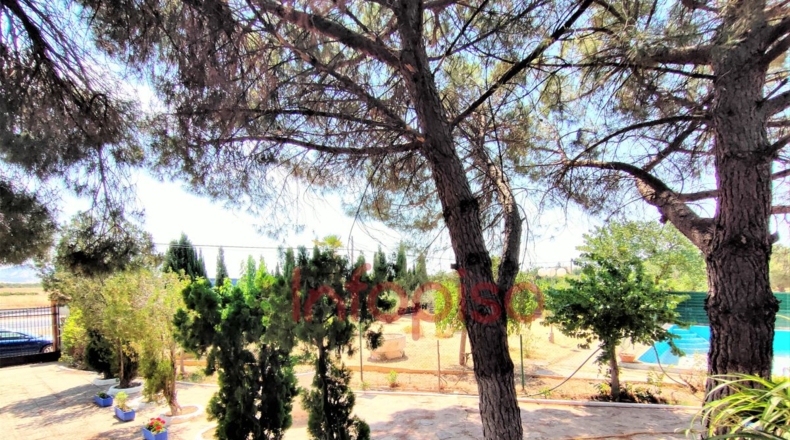 Ciudad Real - Ciudad Real - 2716m2