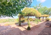 Casa de camp amb terreny en venda a Valdepeñas ref.: TR200255 foto