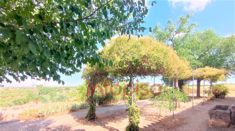 Ciudad Real - Valdepeñas - 13914m2