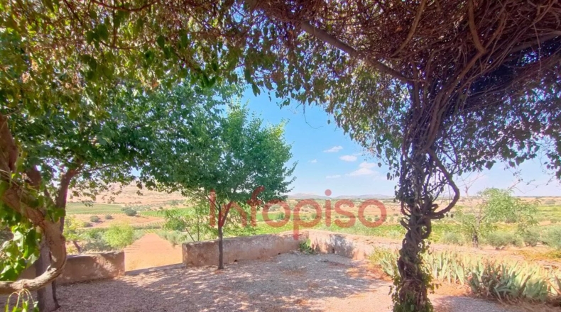 Ciudad Real - Valdepeñas - 13914m2