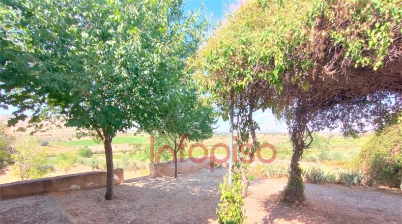 Ciudad Real - Valdepeñas - 13914m2