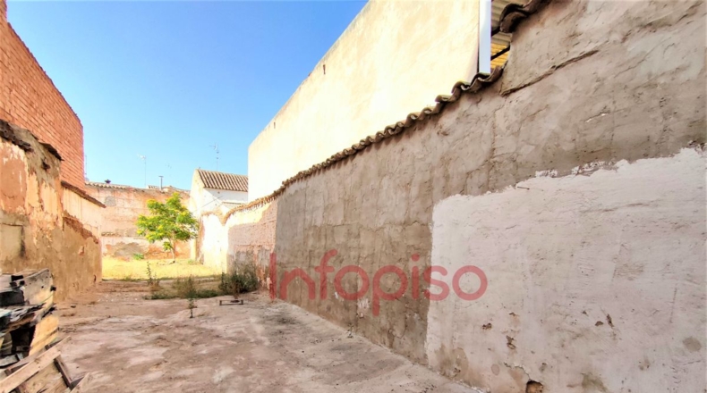 Ciudad Real - Valdepeñas - 600m2