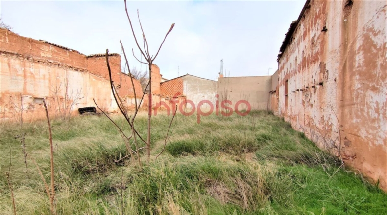 Ciudad Real - Valdepeñas - 658m2