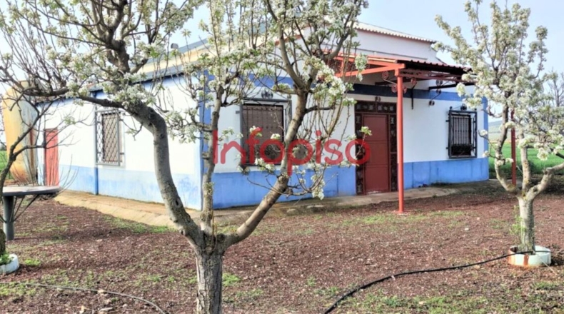 Ciudad Real - Valdepeñas - 10000m2