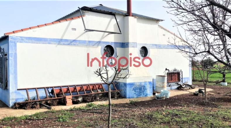 Ciudad Real - Valdepeñas - 10000m2