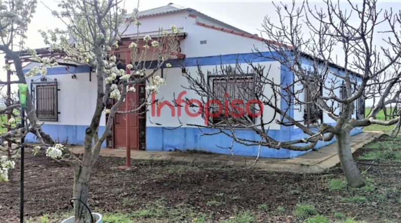 Ciudad Real - Valdepeñas - 10000m2