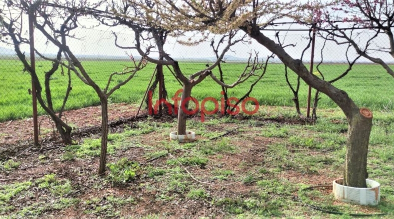 Ciudad Real - Valdepeñas - 10000m2