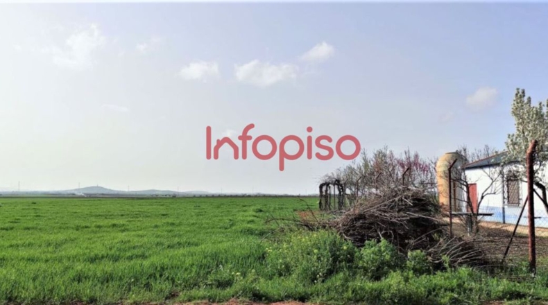 Ciudad Real - Valdepeñas - 10000m2