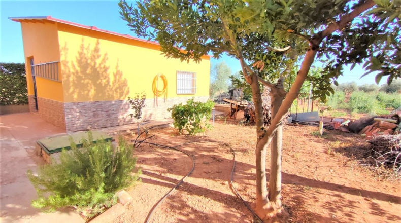 Ciudad Real - Valdepeñas - 34686m2