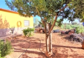 Finca rústica en venda a Valdepeñas ref.: TR91730 foto