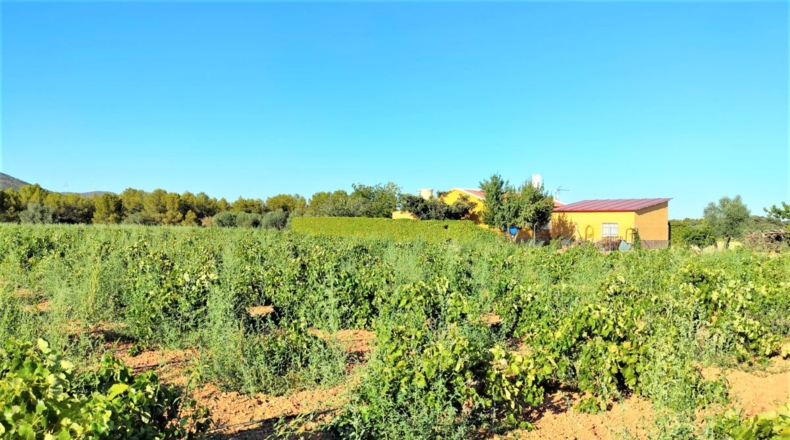Ciudad Real - Valdepeñas - 34686m2