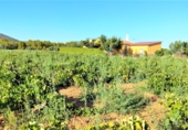 Finca rústica en venda a Valdepeñas ref.: TR91730 foto