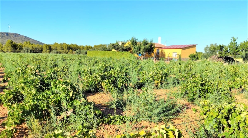 Ciudad Real - Valdepeñas - 34686m2