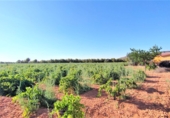 Finca rústica en venda a Valdepeñas ref.: TR91730 foto