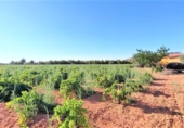 Finca rústica en venda a Valdepeñas ref.: TR91730 foto