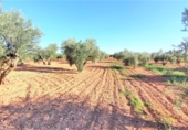 Finca rústica en venda a Valdepeñas ref.: TR91730 foto