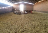 Nave industrial en venta en la España, Viso del Marqués, ref: TR190340 foto