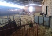 Nave industrial en venta en la España, Viso del Marqués, ref: TR190340 foto