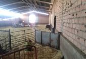 Nave industrial en venta en la España, Viso del Marqués, ref: TR190340 foto