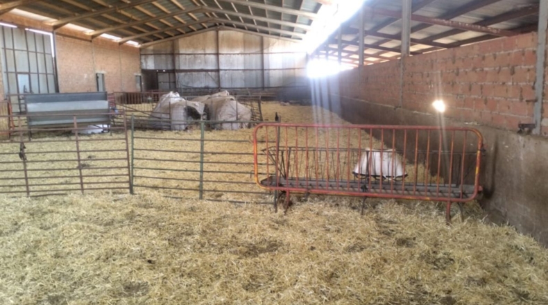 Ciudad Real - Viso del Marqués - 3000m2
