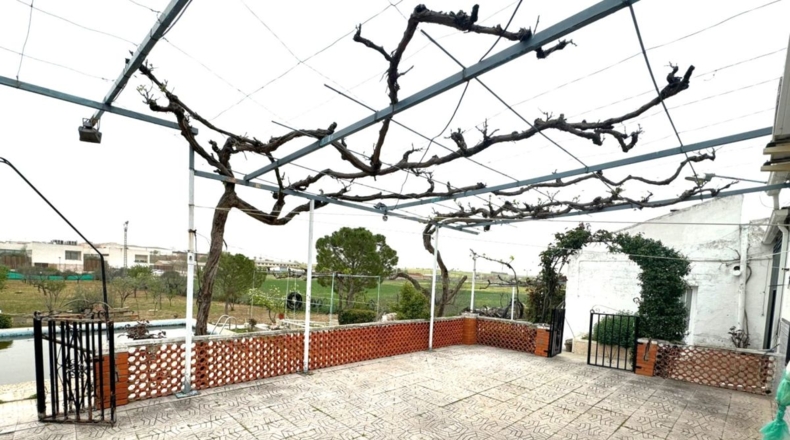 Ciudad Real - Valdepeñas - 3214m2