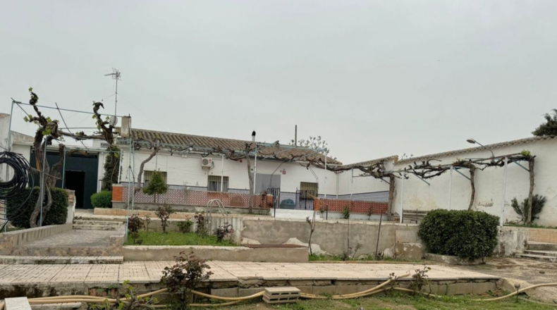 Ciudad Real - Valdepeñas - 3214m2