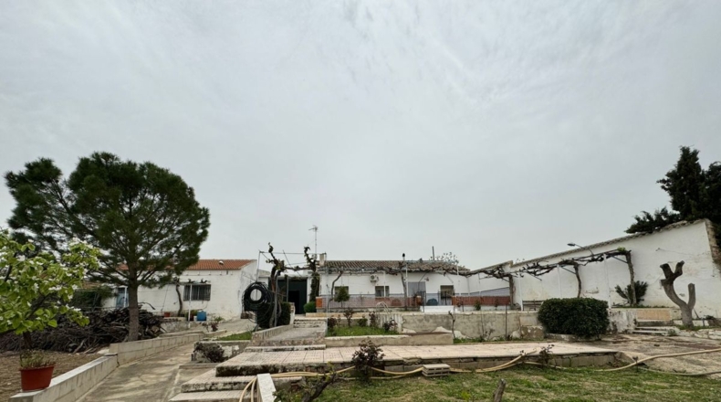 Ciudad Real - Valdepeñas - 3214m2