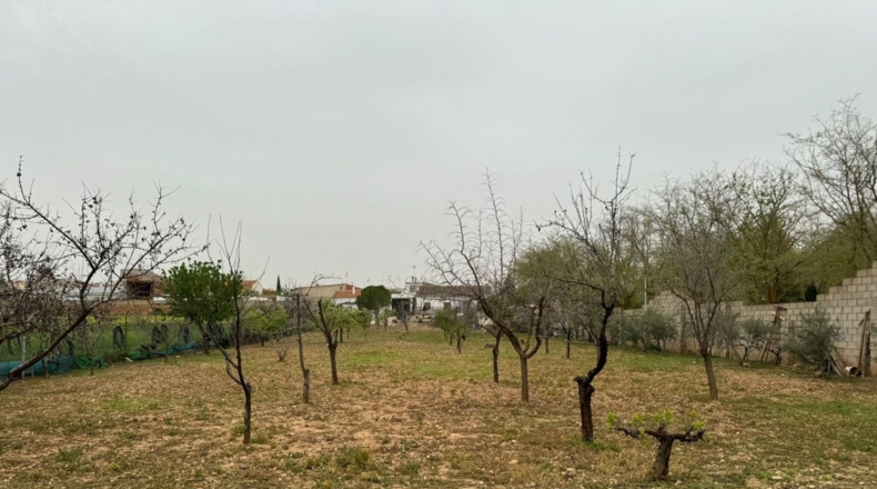 Ciudad Real - Valdepeñas - 3214m2