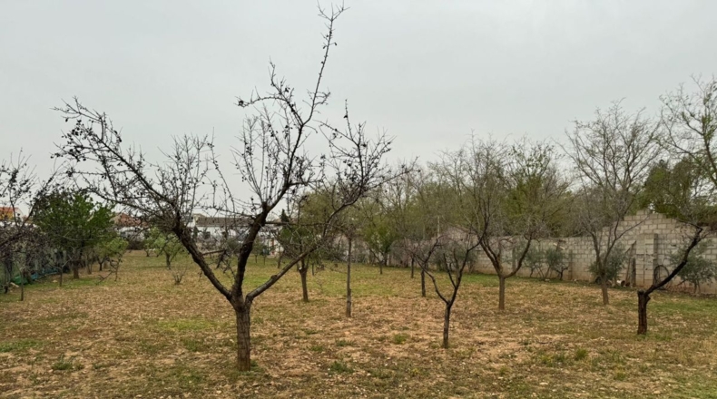 Ciudad Real - Valdepeñas - 3214m2