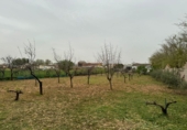 Finca rústica en venda a Valdepeñas ref.: TR190278 foto